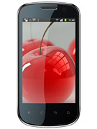 Best available price of Celkon A19 in Yemen