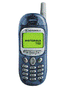 Best available price of Motorola T190 in Yemen