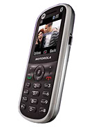 Best available price of Motorola WX288 in Yemen