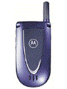 Best available price of Motorola V66i in Yemen